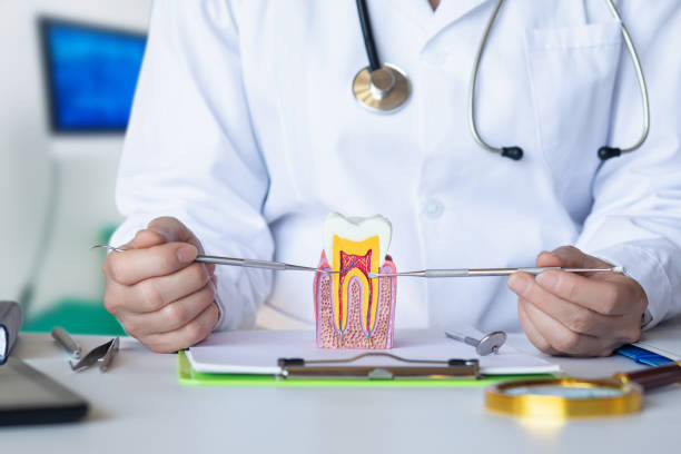 Best Emergency Orthodontic Repairs in Fern Park, FL